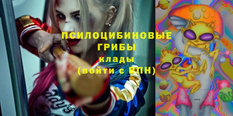 Псилоцибиновые грибы мицелий  купить   Нижнекамск 